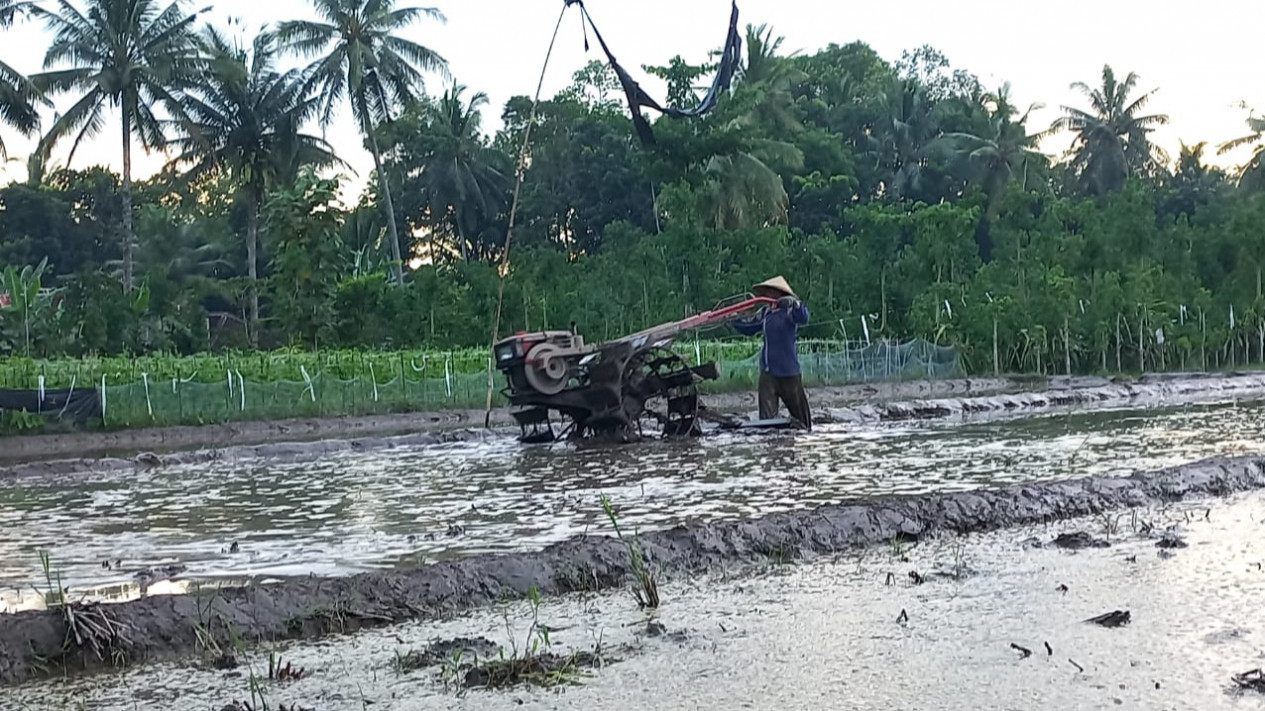 Musim Kemarau 2023 Diprediksi Lebih Kering, Masyarakat Banyuwangi Diminta Waspada
            - galeri foto