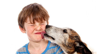 Ternyata Hal yang Ada Pada Manusia Ini yang Dianggap Habib Jafar Husein Lebih 'Najis' Ketimbang Air Liur Anjing, Apa itu?