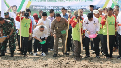 Tekan Ketergantungan Impor Kedelai, Mentan Syahrul Yasin Limpo Galakkan Tanam Kedelai di Lampung