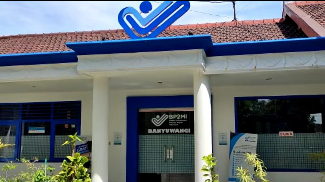 Info Lowongan, Jepang dan Jerman Butuh 500 Tenaga Perawat 
            - galeri foto