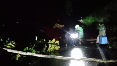 Badan Jalan di Lokop Aceh Timur Lumpuh Total Sepanjang 40 Meter Akibat Tanah Longsor