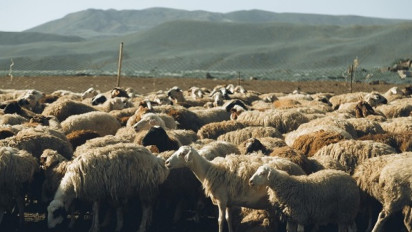 Mengapa Idul Adha Disebut Lebaran Haji dan Ibadah Kurban?