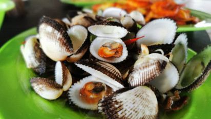 Lezatnya Kerang Bulu Rebus, Kuliner Seafood Favorit di Tanjungpinang