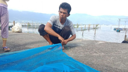 Danau Maninjau Tercemar, Nelayan : Ikan Rinuak Langka Sejak Tujuh Bulan Lalu