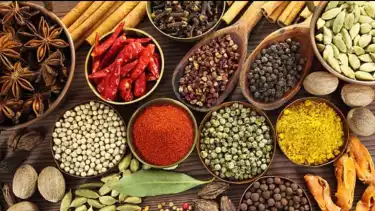 Ilustrasi rempah-rempah.