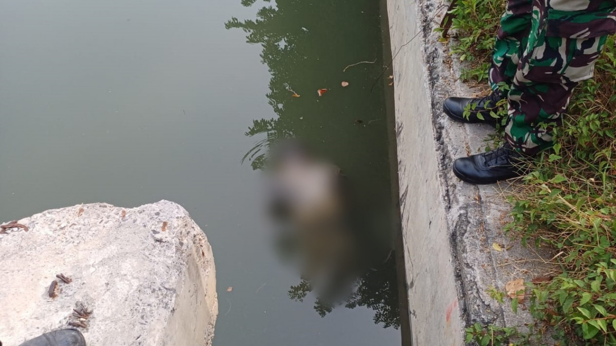 GEGER! Warga Temukan Pria Tanpa Identitas Bertato Mawar Merah Tewas Mengapung di Sungai Kalimas Baru Surabaya
            - galeri foto