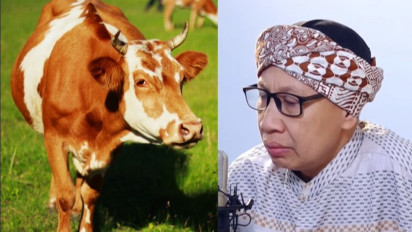 Sebelum Ikut Patungan Kurban 7 Orang untuk 1 Ekor Sapi, Pahami Dulu Hukumnya Menurut Buya Yahya