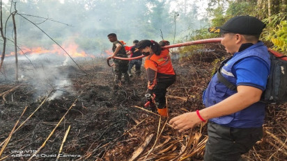 Petugas Gabungan Berhasil Padamkan 26 Hektar Lahan Terbakar di Kabupaten Barito Selatan