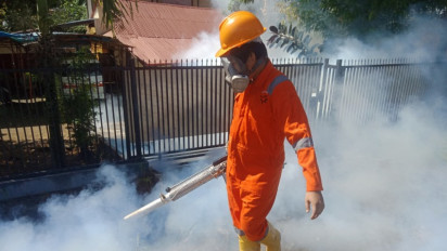 Kasus DBD di Mamuju Meningkat Tajam 1 Korban Meninggal Dunia