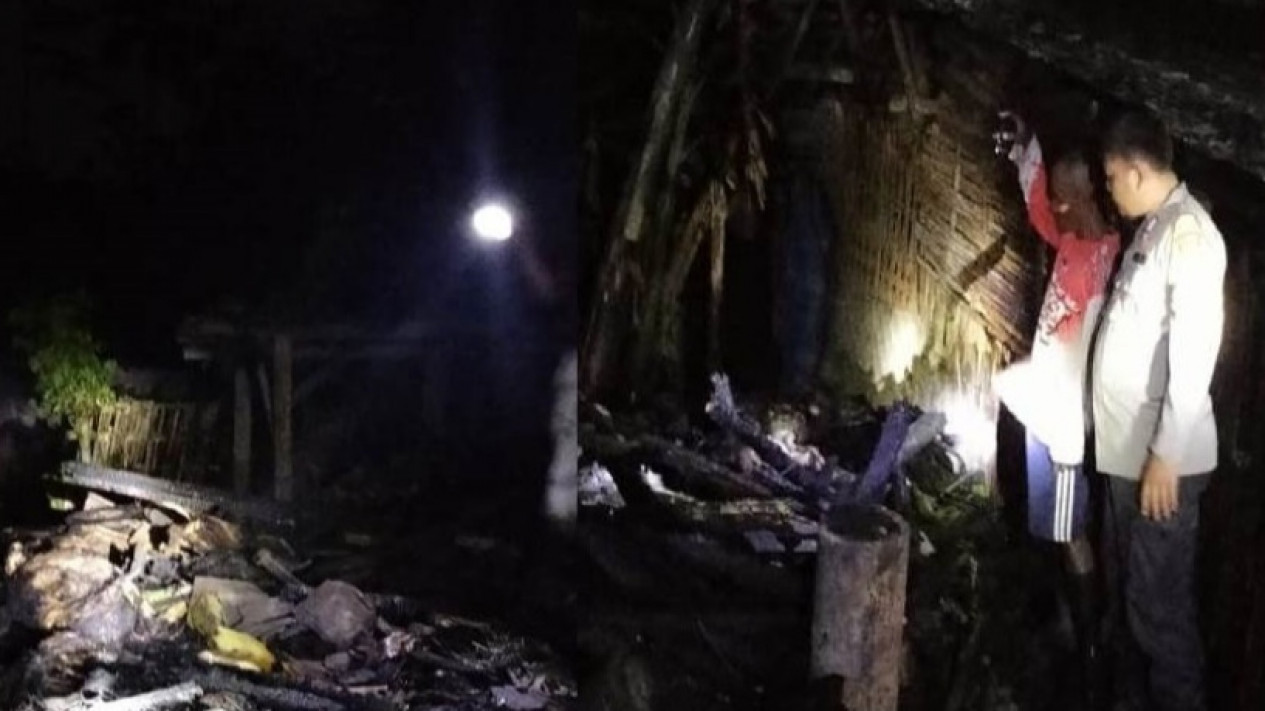 Kandang Ternak di Banyuwangi Terbakar, Puluhan Ekor Kambing Kurban Mati Terpanggang
            - galeri foto