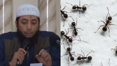 Meski Hewan Kecil, Ustaz Khalid Basalamah Ungkap Ini Hukum Membunuh Semut, Ternyata Tak Boleh Sembarangan Jika Dilanggar Maka…