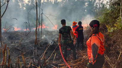 BNPB Catat Sudah Ada 112 Bencana Kebakaran Hutan dan Lahan di Tanah Air Sejak 1 Juni 2023