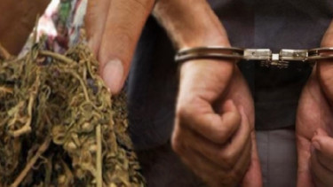 Ini Kronologi Peredaran Ganja yang Diduga Melibatkan Oknum Karyawan KPI