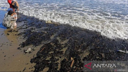 DPRA Minta Pemerintah Aceh Bentuk Tim Telusuri Tumpahan Batu Bara