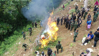 Direktorat Narkotika Deputi Bidang Pemberantasan BNN RI Memusnahkan Ladang Ganja di Mandailing Natal