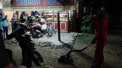 Ngeri! Ular Python Bersarang di Rumah Makan, Evakuasi Berlangsung Dramatis