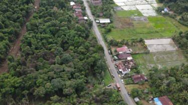 Hutan Pendidikan Digarap untuk Perumahan, Oknum Pejabat BPN dan Pejabat Pemkab Luwu Diduga Terlibat