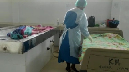 7 Korban Meninggal Akibat Gigitan Anjing Gila, Pemda Sintang Nyatakan KLB Rabies