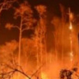 Tangani Karhutla Kalimantan dan Sumatera, 12.880 Personel Dikerahkan
