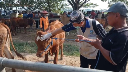 Jelang Idul Adha, Dinas Peternakan Kabupaten Madiun Perketat Jual Beli Hewan Kurban dari Luar Daerah