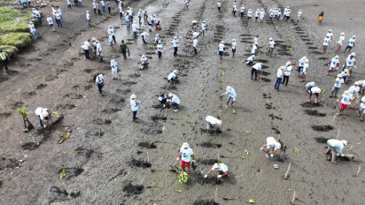 Sampah Plastik Makin Memprihatinkan, 2023 Pohon Bakau Ditanam di Pantai Selatan Banyuwangi