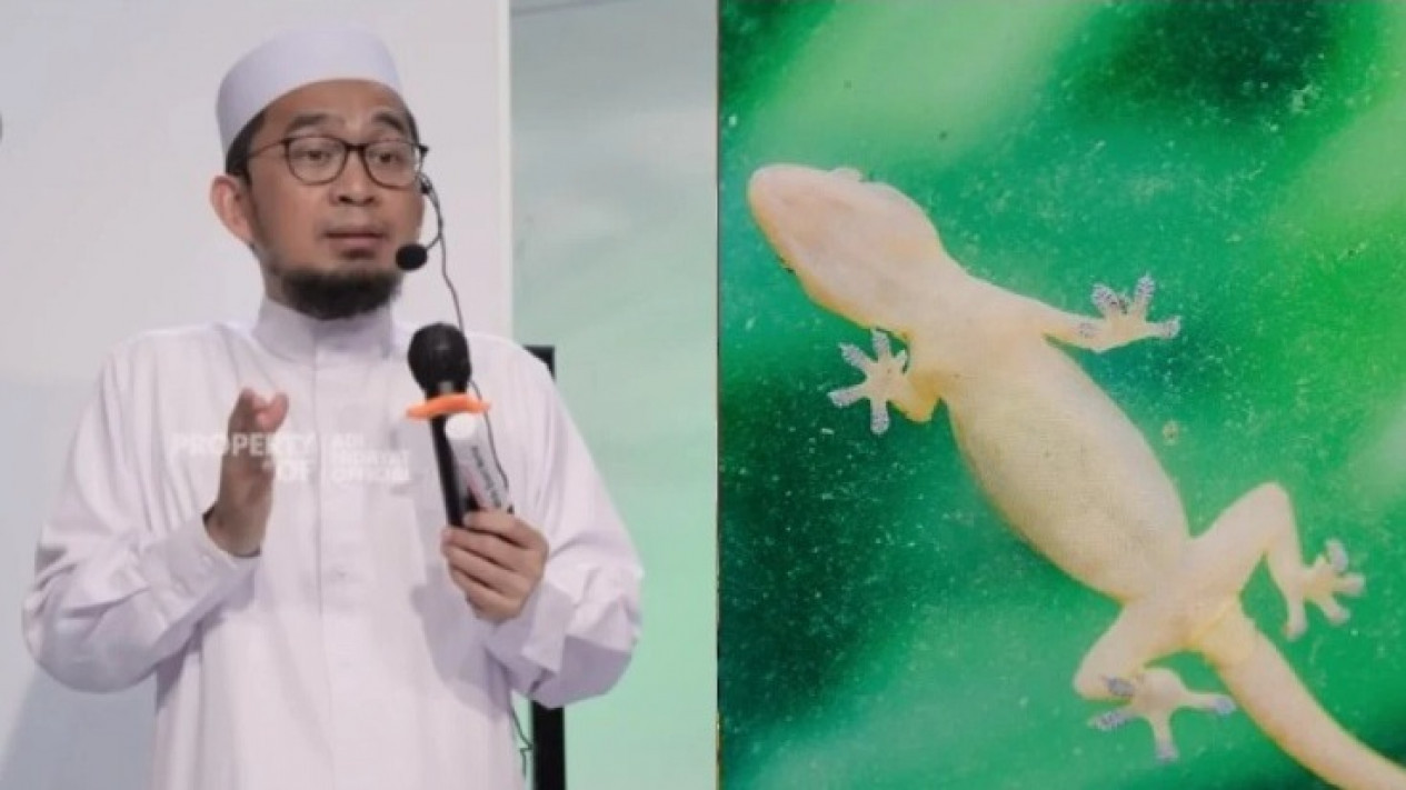 Banyak Cicak di Rumah Anda?  Waspadai Hal Itu Menurut Ustaz Adi Hidayat Menandakan..
            - galeri foto