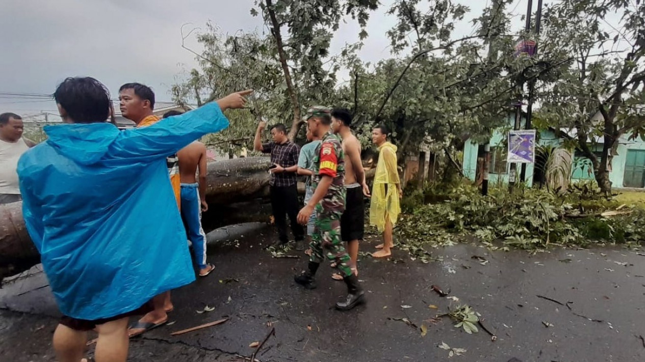Diterjang Angin Kencang, Pohon Tumbang Tutup Akses Jalan Desa
            - galeri foto