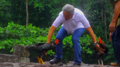 Benarkah Ganjar Pranowo Suka Mengadu Ayam? Ini Faktanya