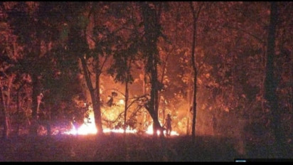 Kawasa Hutan Jati di Kawasan Taman Nasional Baluran Situbondo terbakar