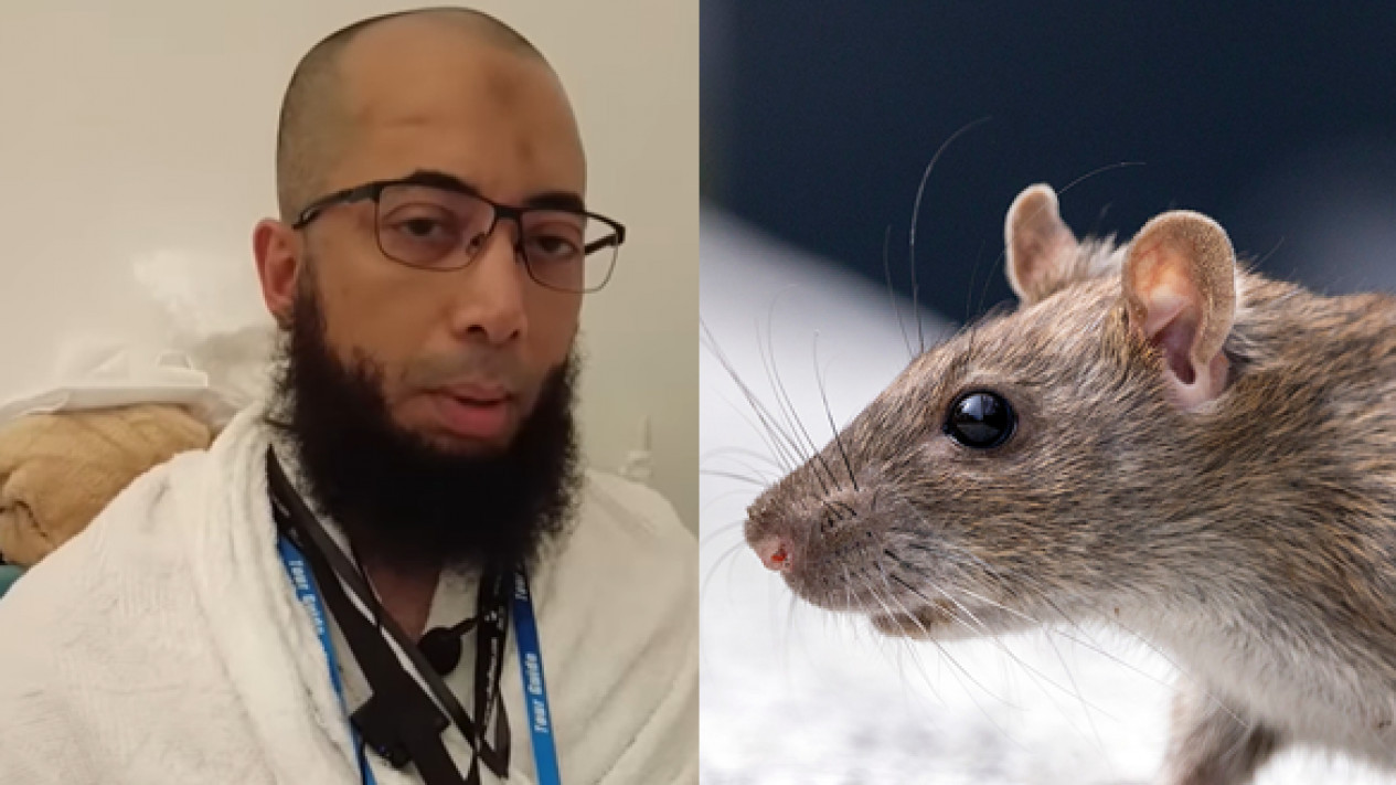 Langsung Perbanyak Istighfar jika Tikus Sampai Masuk ke Rumah, Kata Ustaz Khalid Basalamah Itu Tandanya...
            - galeri foto