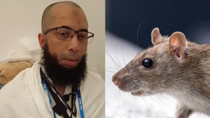 Langsung Perbanyak Istighfar jika Tikus Sampai Masuk ke Rumah, Kata Ustaz Khalid Basalamah Itu Tandanya...