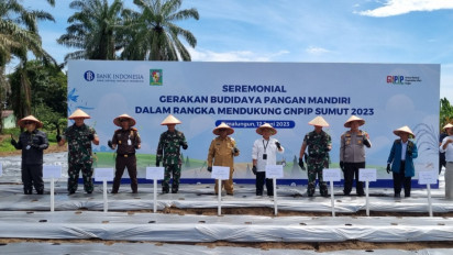 Tekan Laju Inflasi Daerah, Bank Indonesia Gandeng Tni-Polri dan Ponpes, Tanam 17 Ribu Batang Cabai Rawit Manfaatkan Lahan Tidur