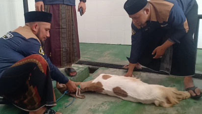 Ratusan Takmir Masjid di Malang Raya Ikuti Pelatihan Potong Hewan Kurban secara Syar'i