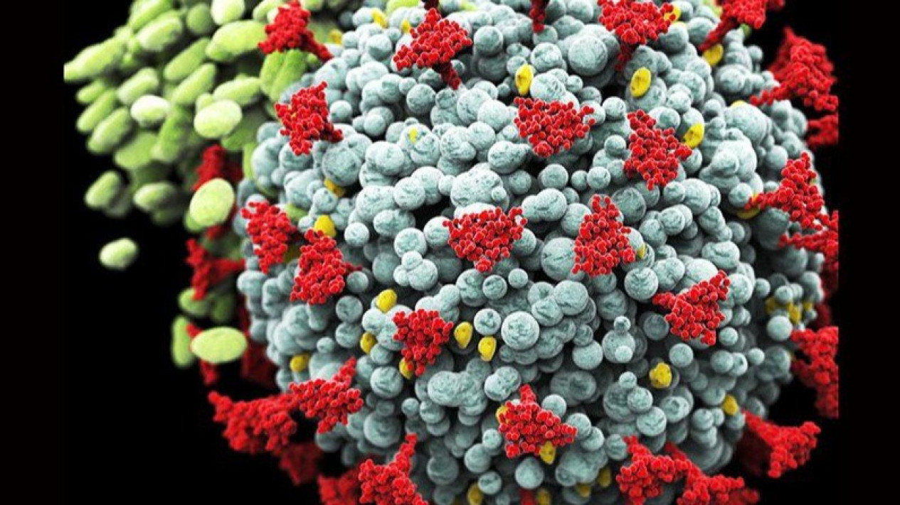 COVID-19 di China Memuncak Lagi, Sebulan 164 Orang Tewas
            - galeri foto