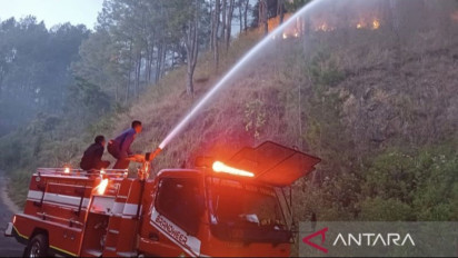 Kebakaran Melanda Area Hutan Seluas Lima Hektare di Aceh Tengah