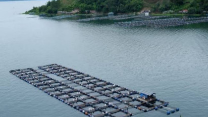 Polemik Zero KJA di Danau Toba, Binsar Situmorang: Usaha Budidaya Perikanan Mampu Kurangi Angka Pengangguran dan Kemiskinan
