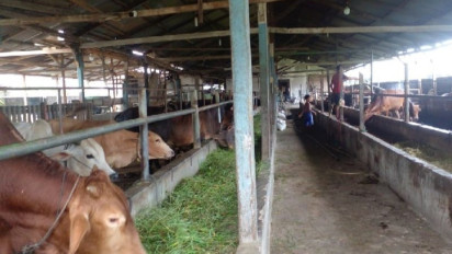 Pemprov Sumut Imbau Masyarakat Beli Hewan Kurban yang Memiliki SKKH