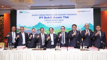 Sah! Stafsus Menteri ESDM, Irwandy Arif Resmi Jabat Komisaris Utama PTBA