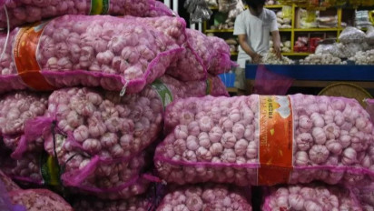 DPR Duga Ada Permainan Mafia di Balik Perizinan Impor Bawang Putih