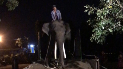 Kisah Haru antara Pawang dan Satwa, Tiga Pawang Gajah Menangis Sedih karena Berpisah dari Satwa yang Mereka Rawat