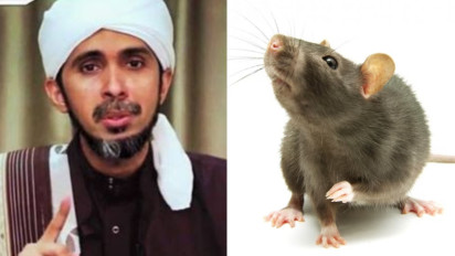 Bukan Cuma Cicak, Banyak Tikus di Rumah Itu Pertanda Buruk Kata Habib Ali Zaenal Al Hamid, Tak Disangka Akan Terjadi...