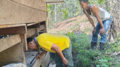 Tiga Ekor Anjing Warga Palembayan Agam Diduga Dimangsa Satwa Liar
