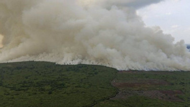 Tim Gabungan Padamkan 4 Titik Karhutla di Riau, BPBD Tegaskan Ini