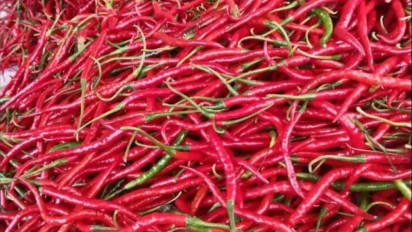 Harga Cabai Merah Turun di Dumai, Rp35 Ribu Per Kilogram