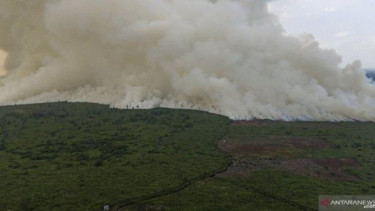 Petugas Gabungan Padamkan Karhutla di Empat tempat di Riau