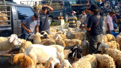 Dinas Peternakan Trenggalek Periksa Hewan kurban di Pasar, Pastikan Hewan Sehat dan Penuhi Kriteria