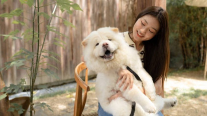 Wah Ternyata Boleh Memelihara Anjing Dalam Agama Islam Asalkan, kata Ustaz Syafiq Riza Basalamah..