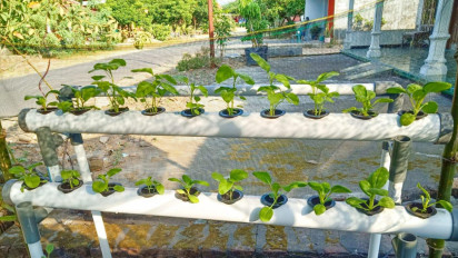 Bercocok Tanam dengan Sistem Hidroponik, Manfaatkan Lahan Kosong Bernilai Ekonomis