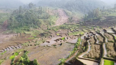 Tebing Setinggi 40 Meter Ambrol, Nyaris Timbun Petani yang Sedang Bekerja di Sawah