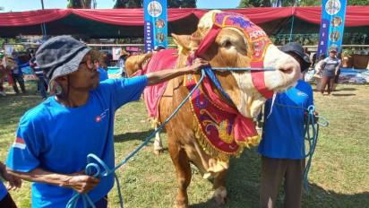 Juara Kontes Ternak Banyuwangi, Sapi Berbobot 1,136 Ton Dijual Rp200 Juta